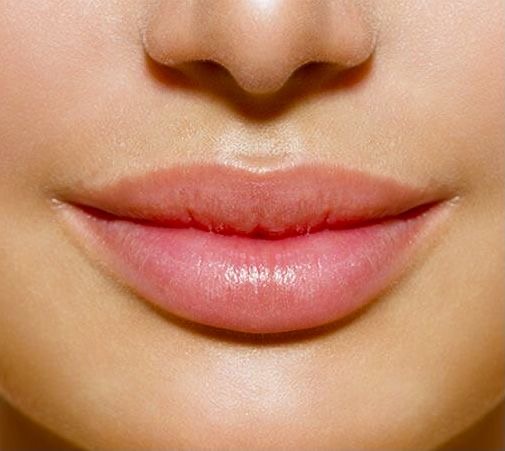 <p>the mouth </p>