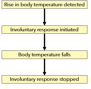 <p><span style="font-family: "Amasis MT Pro Light";"><em>Refer to the flow diagram, which displays some stages in the control of human body temperature.</em></span><span><br> </span><span style="font-family: "Amasis MT Pro Light";">Which of the following options is an involuntary response that could be initiated as a result of a rise in body temperature?</span><span><br></span><span style="font-family: "Amasis MT Pro Light";"> J. Reduced sweating.</span><span><br></span><span style="font-family: "Amasis MT Pro Light";"> K. Increased secretion of thyroxine.</span><span><br></span><span style="font-family: "Amasis MT Pro Light";"> L. Increased vasodilation.</span><span><br></span><span style="font-family: "Amasis MT Pro Light";"> M. Erection of the hairs on skin.</span></p>