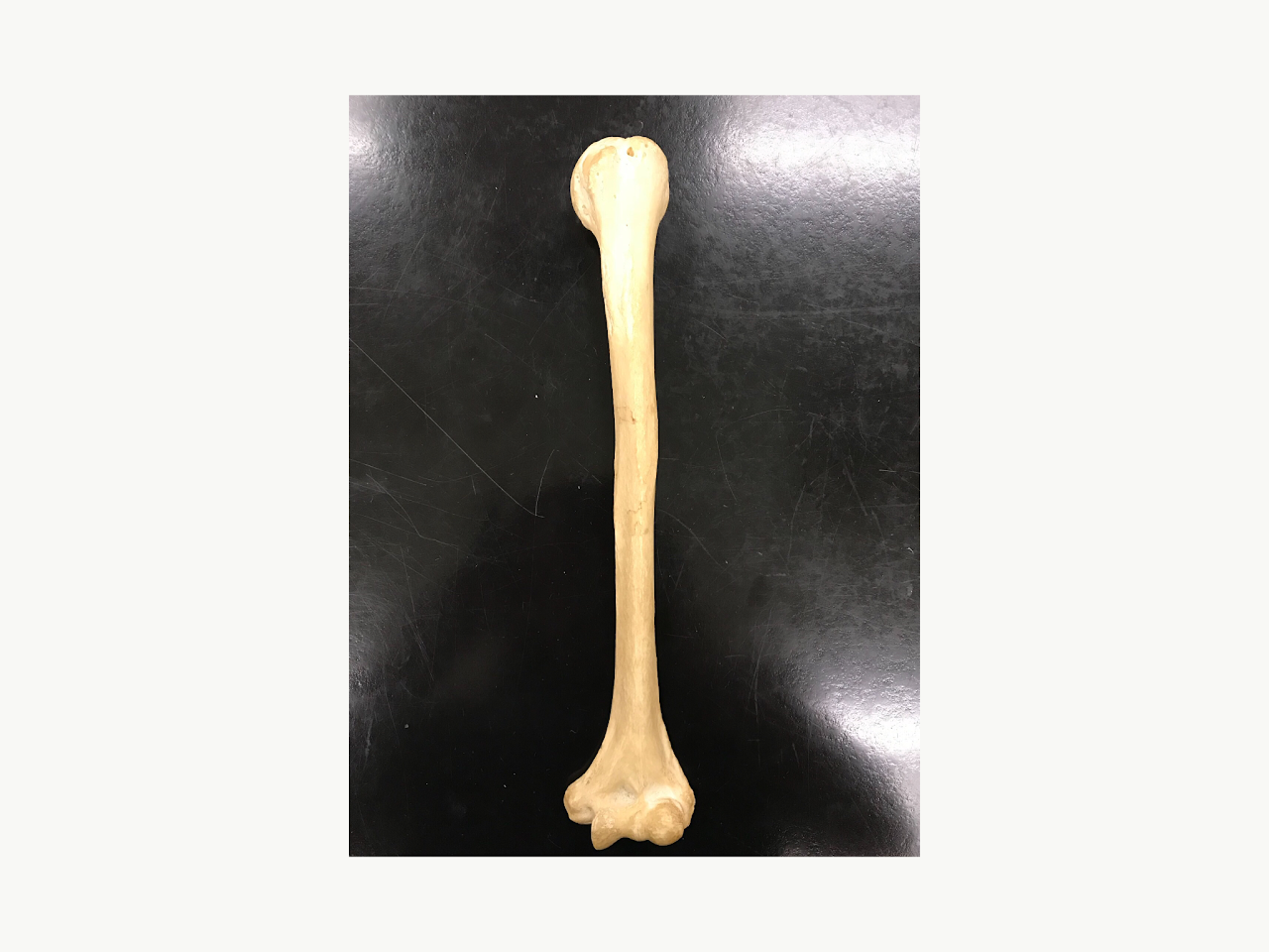 <p>What is this? </p>