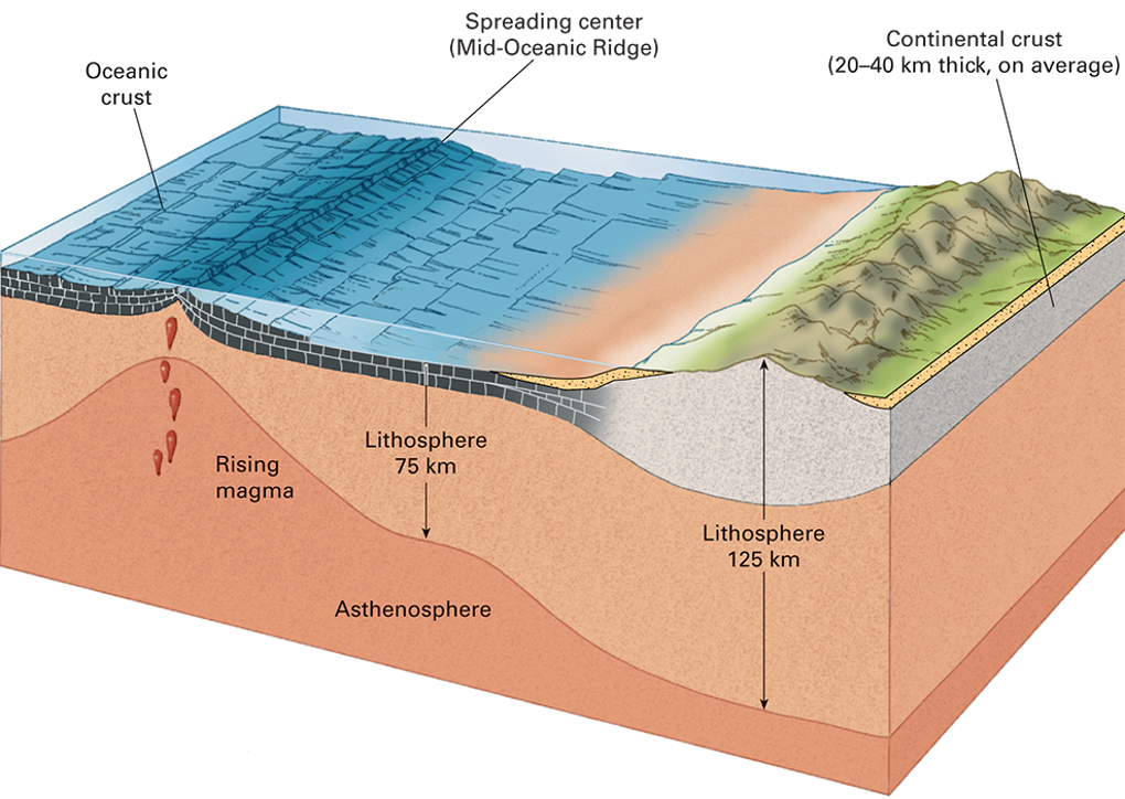<p>what is happening in this picture? </p>