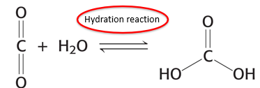 <p>carbonic anhydrase catalyzes this reaction and increases what?</p>