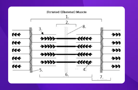 <p>what is #3 pointing at?</p>