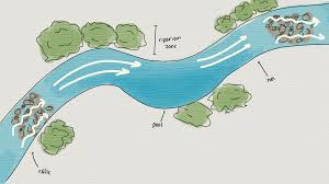 <p>areas of slow flowing, deep water, often on the outside of the bends </p>