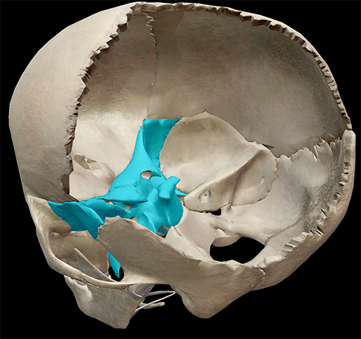 <p>irregular</p>