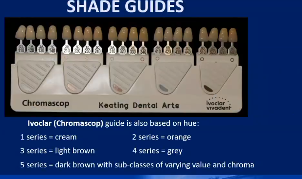 <p>Hue with subclasses of varying value and chroma</p>