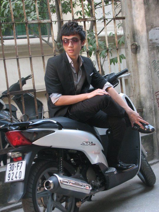 <p>tán lá rậm rạp</p>