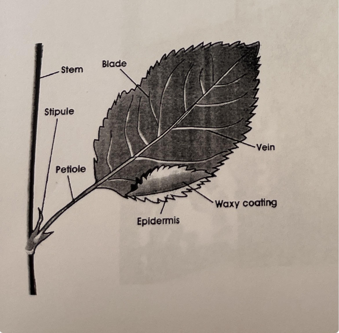 <p>What is this?</p>