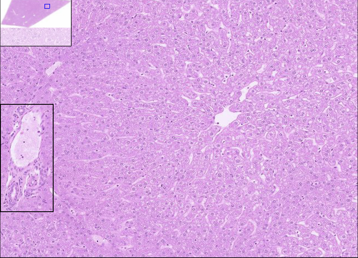 <p>What structure is this?</p>