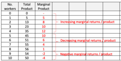 <p>Marginal product of labor becomes negative</p>