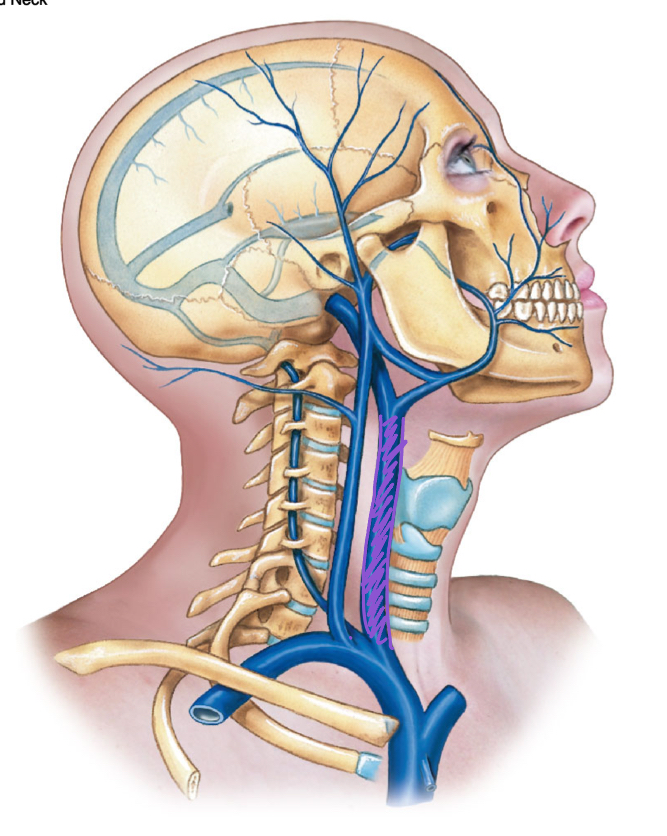 <p>diagram </p>