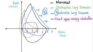 <p>flow rates are graphed as ___</p><p>-in normal lungs: __</p><p>-latter portion of expiration curve represents ___</p>