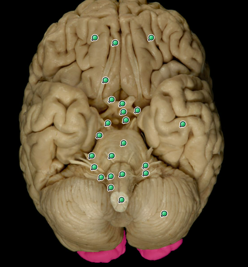 <p></p><p>What is this</p>