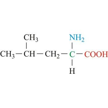 <ul><li><p>Nonpolar side chain hydrophobic</p></li></ul><p></p>