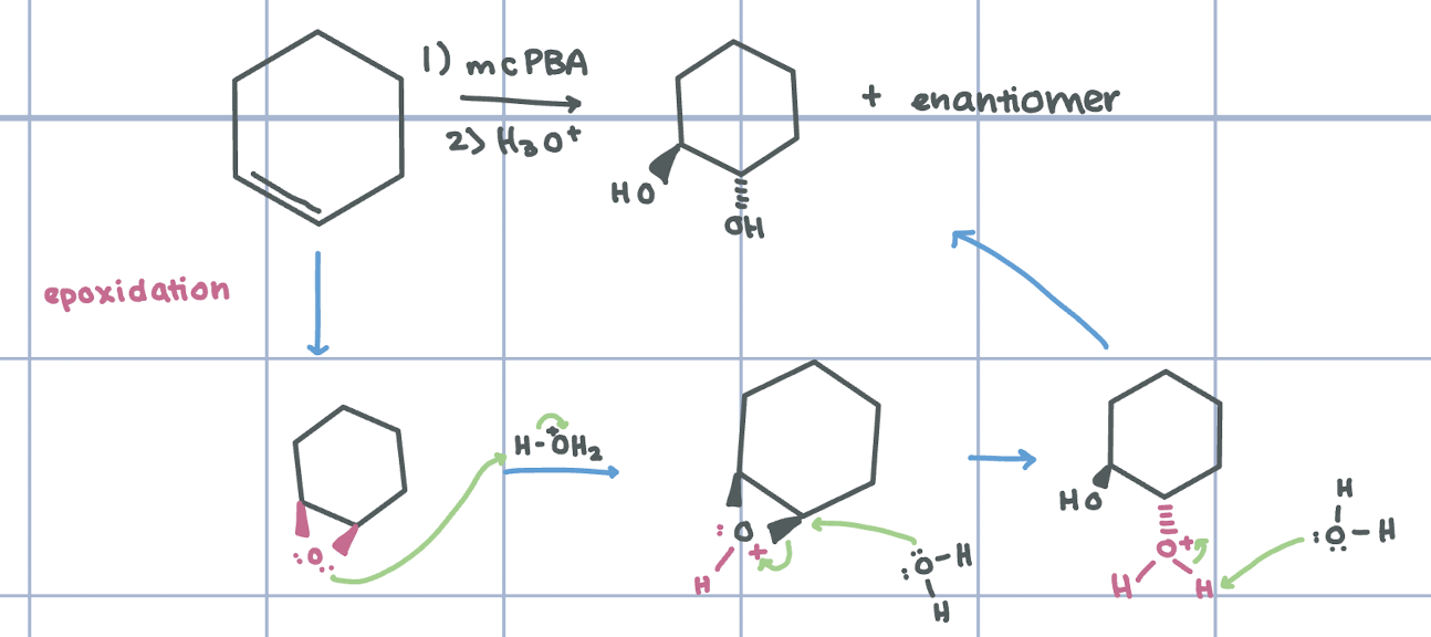 <p>Anti-Dihydroxylation - adds 2 OH groups in anti</p>