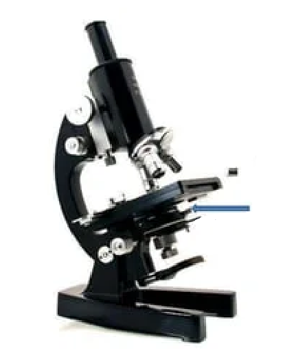 <p>What part of the Microscope is this?</p>
