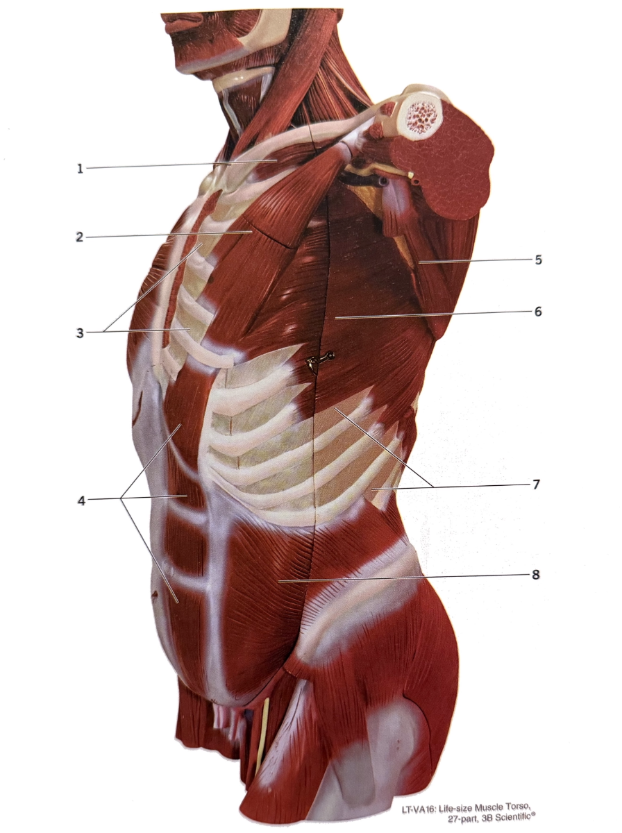 <p>6</p>