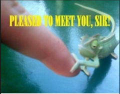<p>Nice to meet you too. ( The pleasure is mine. )</p>