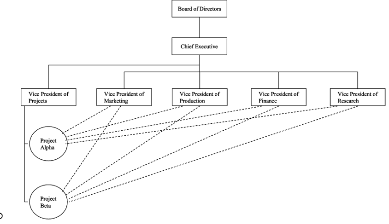 <p><span><strong>Project Organizations</strong></span></p>