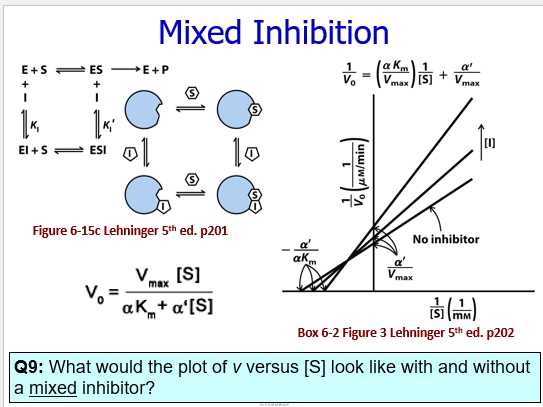 <ul><li><p>where both Competitive & Uncompetitive enzyme inhibition, are both happening at the same time, relatively constantly</p></li><li><p>unlike Uncompetitive, the inhibitor doesnt require ES to bind. it can bind to E to form EI and inhibit this way. OR bind ES and trap them together </p></li><li><p>hard to know whats occurring mechanistically</p></li><li><p>ESP equation, we add the EI & ESI, but also a step betwen EI + S <=> ESI</p></li><li><p>decreases Vmax (rate decreases)</p></li><li><p>increases Km (binding affinity decreases)</p></li></ul><p></p>