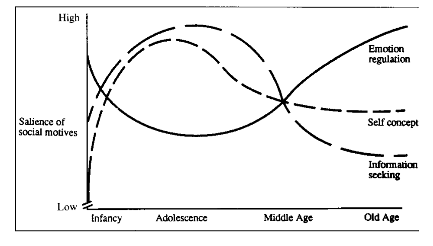<p>Older adults have fewer relationships, based on different motives</p><ul><li><p>change in the number and motive for relationship</p></li></ul><p></p>