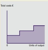 <p>an extension of fixed cost, where cost is fixed up until a certain level of activity</p>