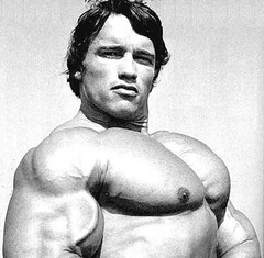 <p>chest</p>