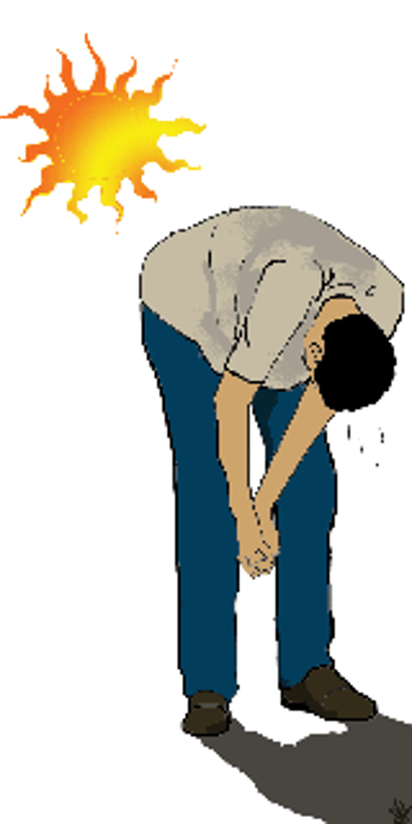 <p>sự kiệt sức, sự cạn kiệt After running the marathon, he collapsed onto the grass from ___________.</p>