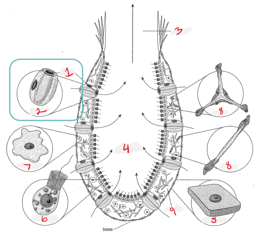 <p>What is 5</p>