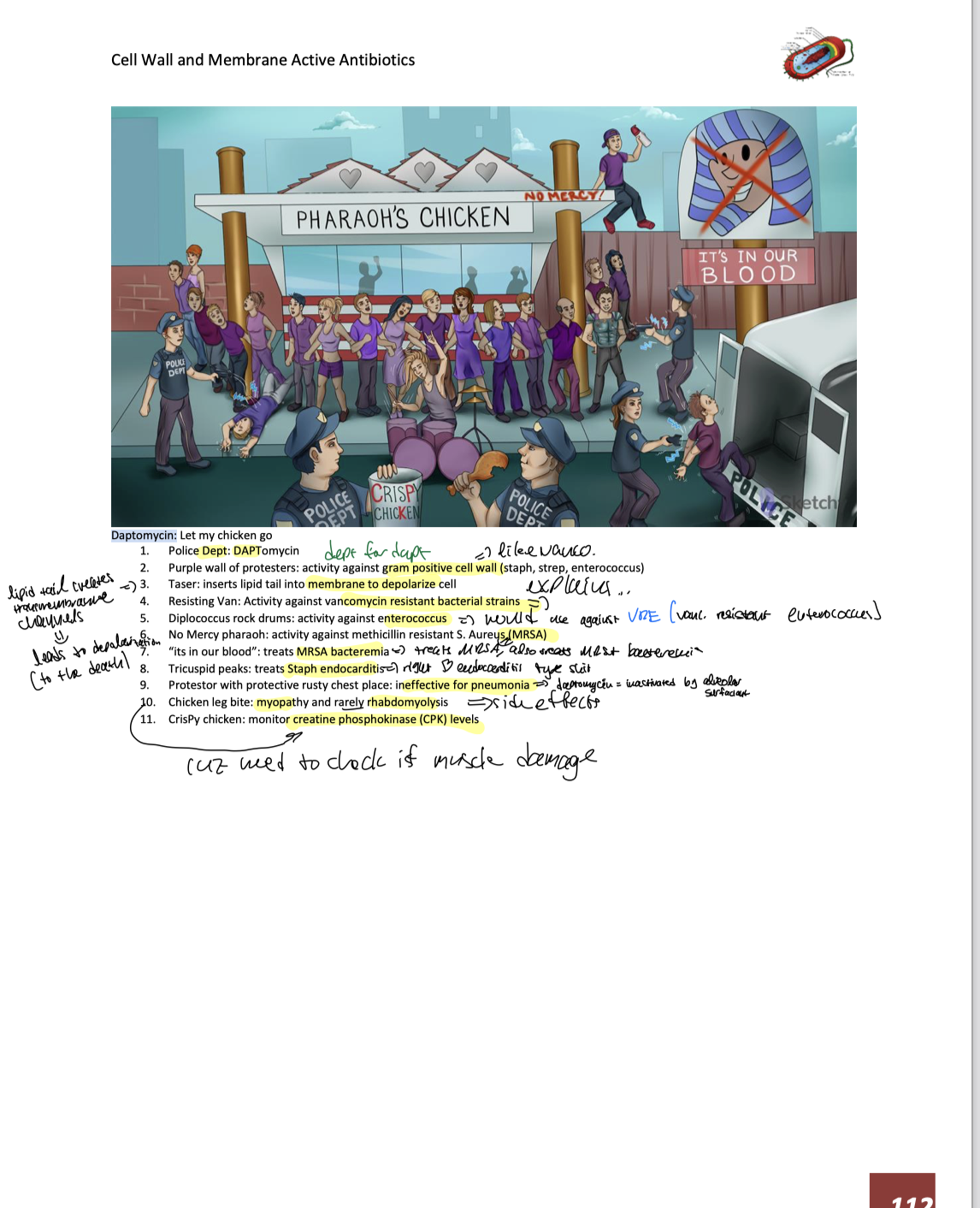 knowt flashcard image
