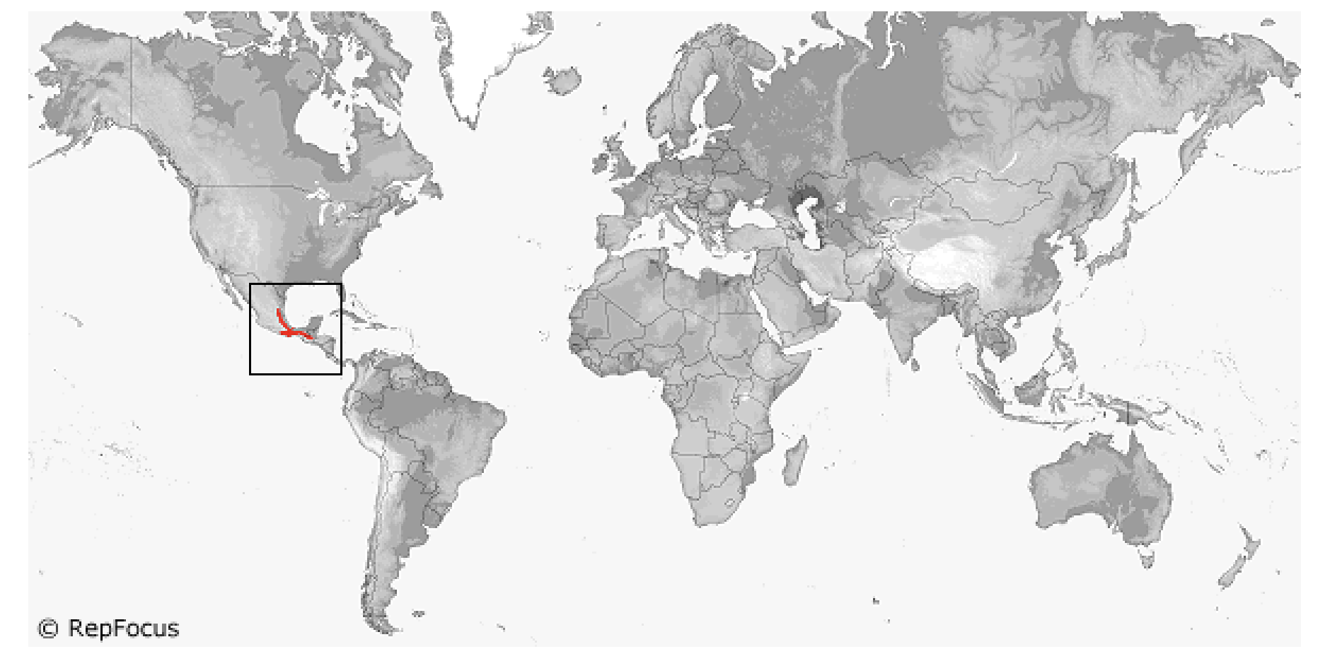 <p><span style="background-color: transparent;">Xenosauridae</span></p>