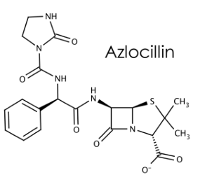 <p>[EXTENDED SPECTRUM PENICILLINS / ANTIPSEUDOMONAL PENICILLINS]</p><p>a. Carbenicillin</p><p>b. Ticarcillin</p><p>c. Piperacillin</p><p>d. Azlocillin</p><p>e. Mezlocillin</p>