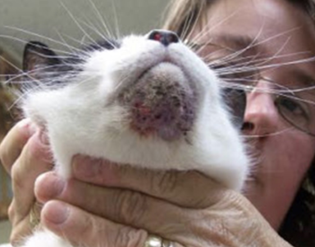 <img src="blob:null/2891d4c0-ef54-4258-9af3-9eaa6d745b92" width="500" height="375"><p></p>