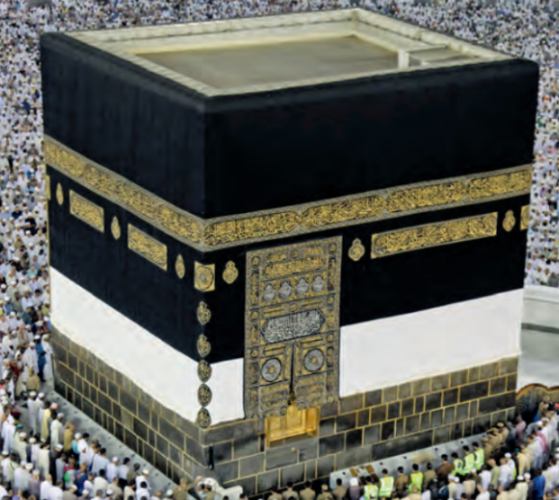 term image