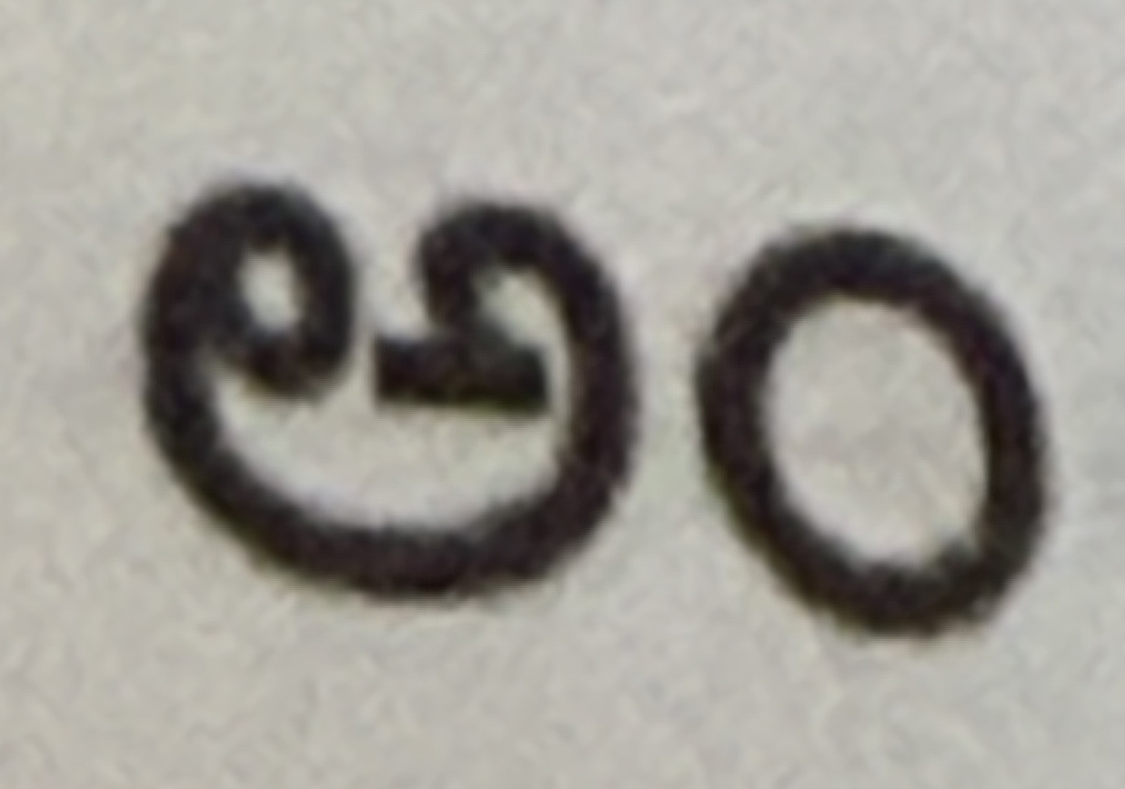 term image