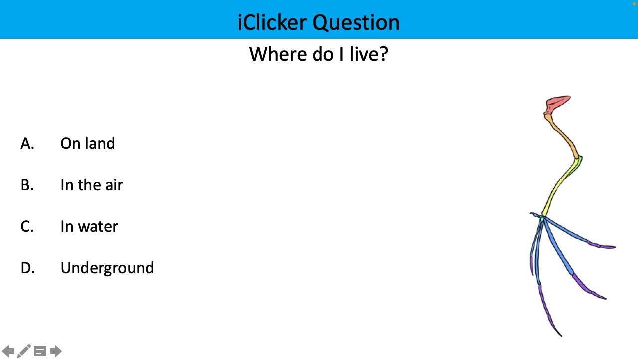 <p>Where do I live?</p>