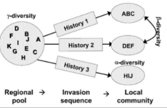 <p>What does this graph show?</p>