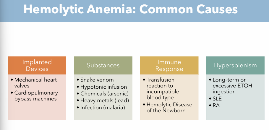 <p><strong>Implanted Devices (Mechanical)</strong></p><ul><li><p>Mechanical heart valves</p></li><li><p>Cardiopulmonary bypass machines</p></li></ul><p><strong>Immune Response (Autoimmune response)</strong></p><ul><li><p>Transfusion reaction to incompatible blood type</p></li><li><p>Hemolytic disease of the Newborn</p></li></ul><p><strong>Hypersplenism (Organ Dysfunction)</strong></p><ul><li><p>Long term or excessive ETOH ingestion</p></li><li><p>SLE</p></li><li><p>RA</p></li></ul><p><strong>Substances (Chemical)</strong></p><ul><li><p>Snake venom</p></li><li><p>Hypotonic infusion</p></li><li><p>Chemicals (arsenic)</p></li><li><p>Heavy metals (lead)</p></li><li><p>Infection (malaria)</p></li></ul><p></p>