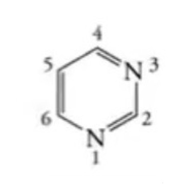 <p>Is this a purine or pyrimidine group?</p>