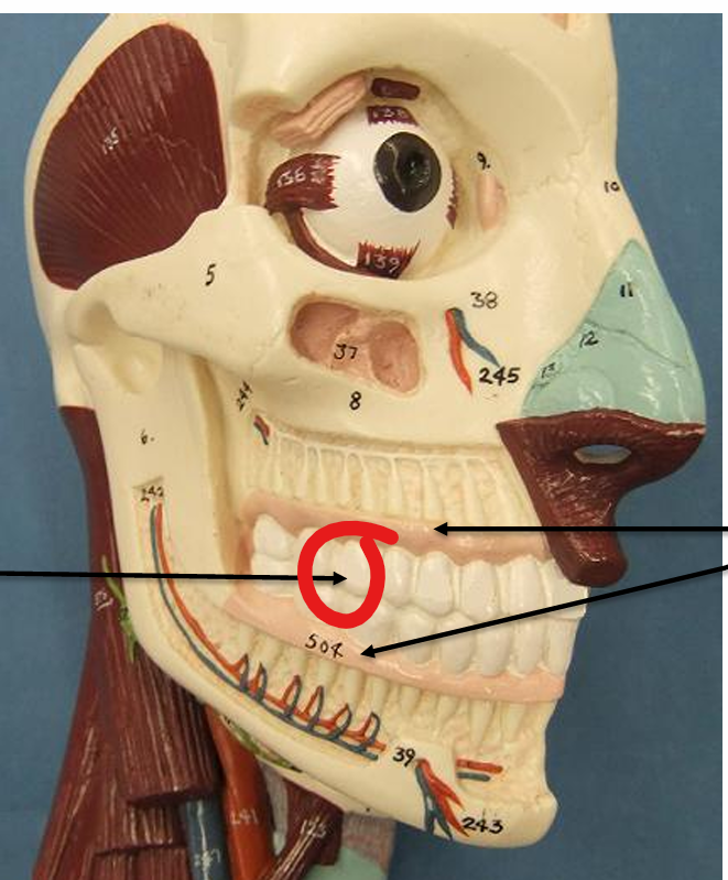 <p>what is this structure </p>