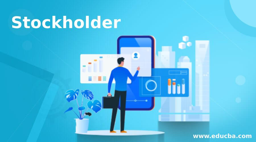 <p>Stockholders equity</p>