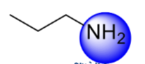 <p>the carbon attached to the amine is attached to one other carbons  </p>