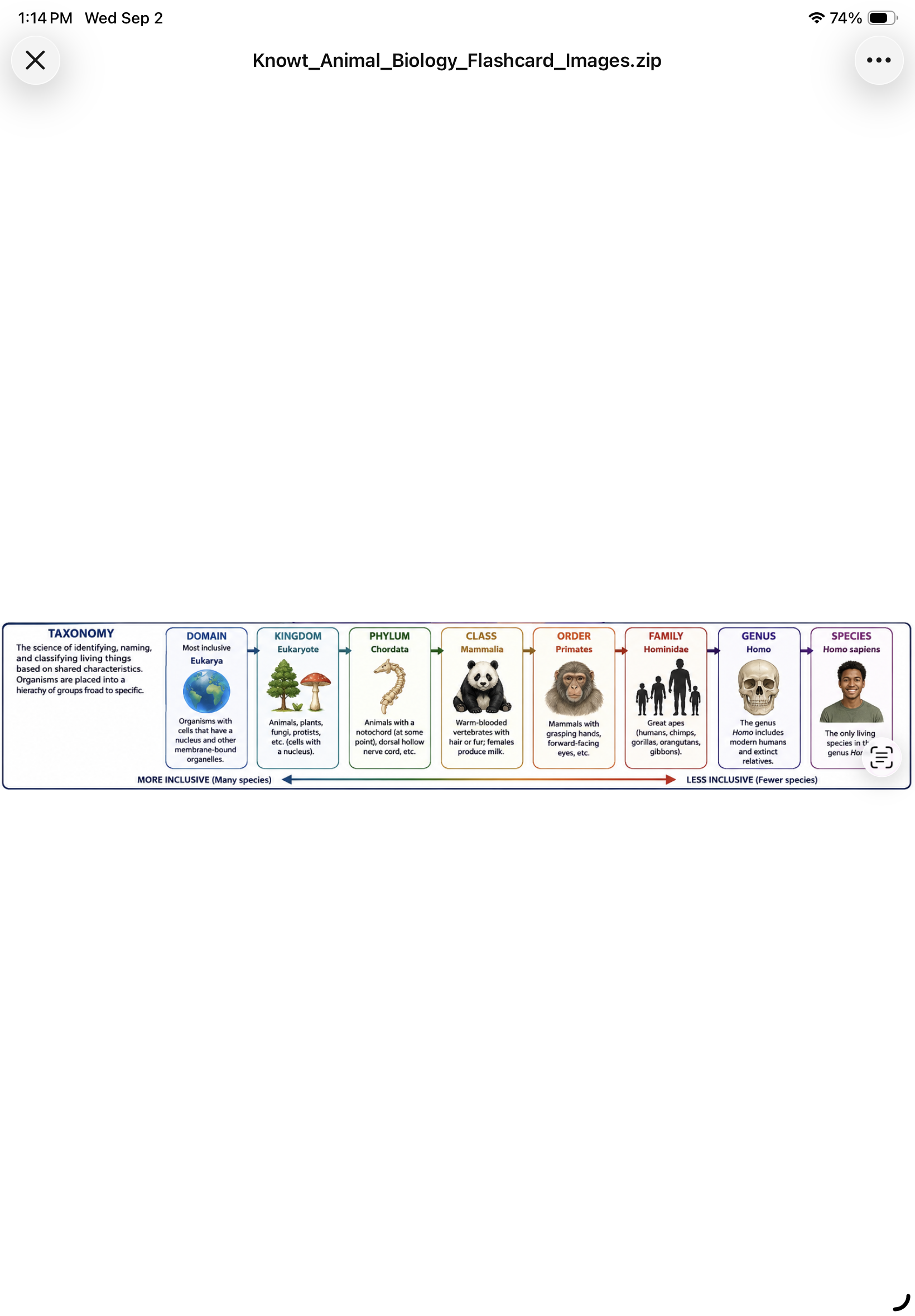 <p>A subdivision of biological classification composed of related organisms that share common characteristics and can interbreed.</p>