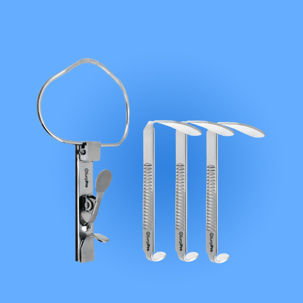 <p>ID this instrument</p>