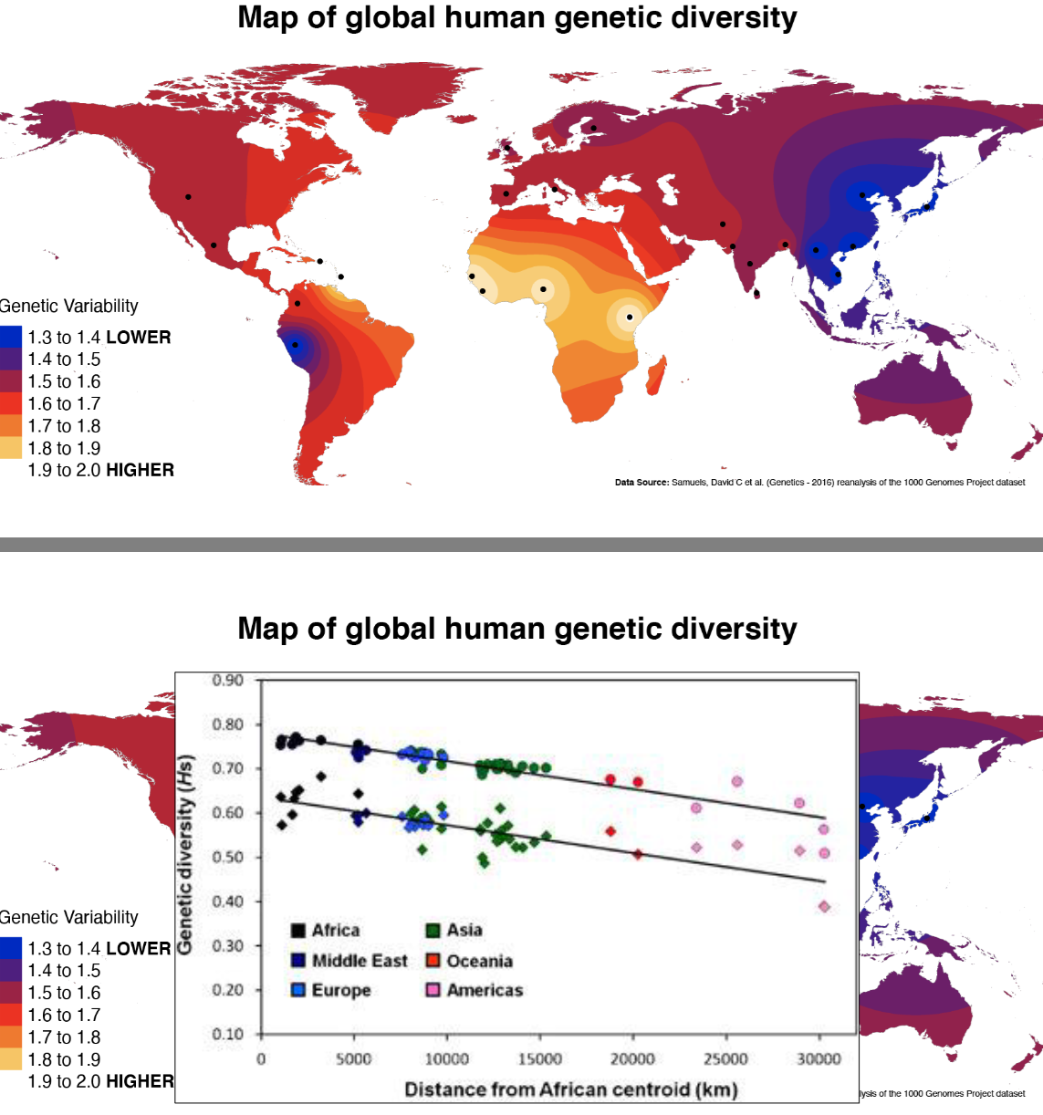<p>Map of global human genetic diversity</p>