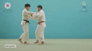 <p>Floating hip throw </p>