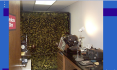<p>Leaf Room (Pic)</p>