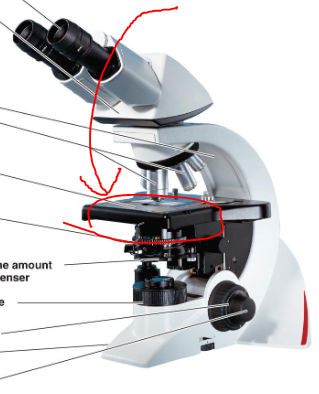 <p>What part of the microscope is this</p>