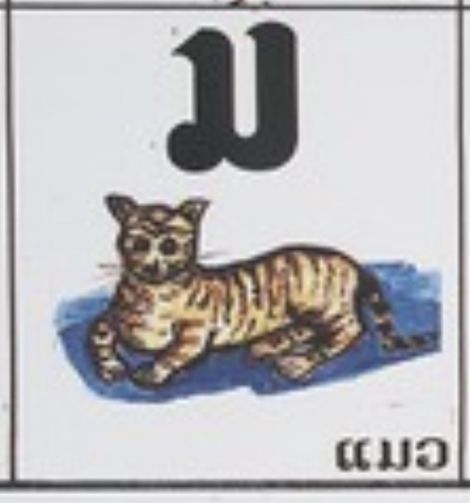 <p><span><span>/maw/ maaeo "Cat"</span></span></p>