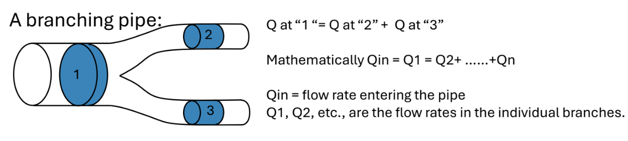 <ul><li><p>When a vessel branches, the flow entering the branch must equal the sum of the flows in all downstream branches (Q<sub>in</sub> = Q<sub>1</sub> = Q<sub>2</sub> + Q<sub>3</sub> + Q<sub>n</sub>)</p></li><li><p>This means the total flow entering a branching point equals the total flow leaving it</p></li></ul><p></p>