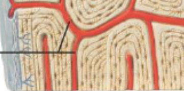 <p>What are the black lines pointing to?</p>